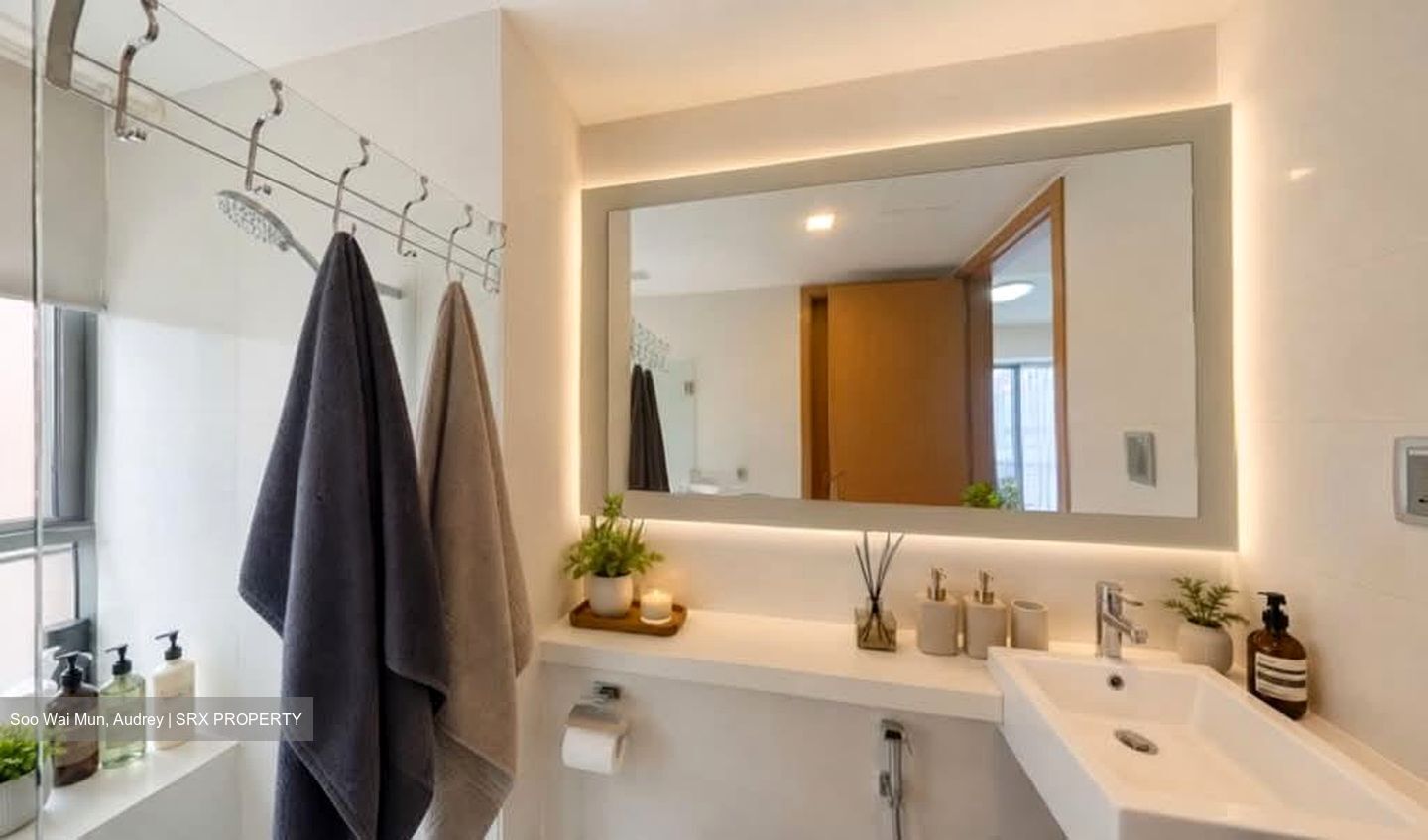 Lumiere (D2), Apartment #558132921